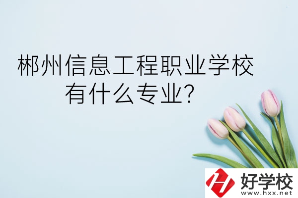 郴州信息工程職業(yè)學校有什么專業(yè)？