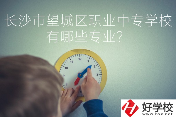 長(zhǎng)沙市望城區(qū)職業(yè)中等專業(yè)學(xué)校有哪些專業(yè)？
