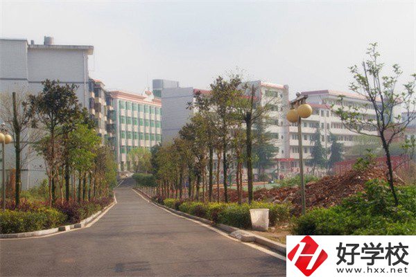 益陽(yáng)有哪些高級(jí)技校？學(xué)校有什么亮點(diǎn)？