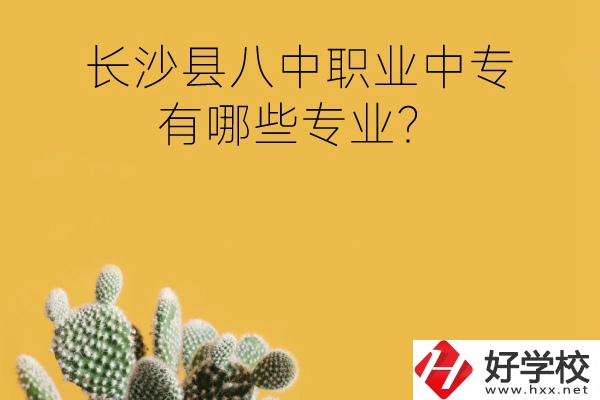 長(zhǎng)沙縣八中職業(yè)中專好不好？有哪些專業(yè)？