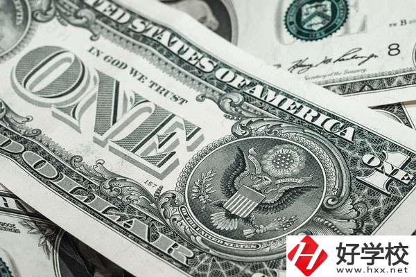 湖南的技校學(xué)費(fèi)貴嗎？有哪些補(bǔ)貼政策？