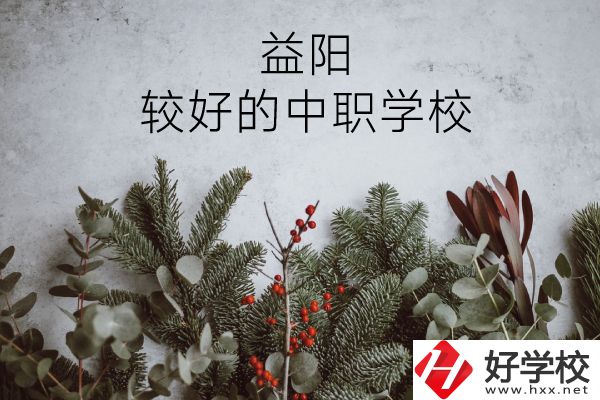 益陽有哪些中職學(xué)校比較好？
