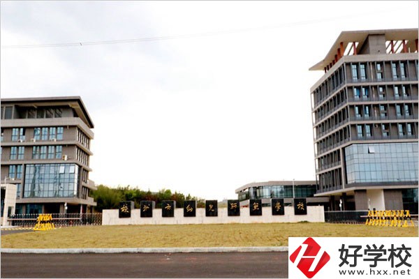 在株洲云龍職校城智慧路上有什么職校？