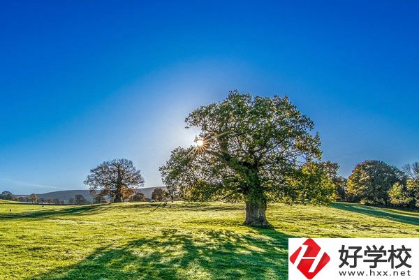 湘西旅游學(xué)校是一所怎樣的中專？
