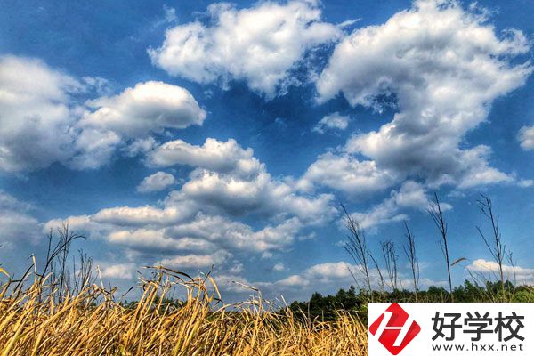 衡陽市瀟湘衛(wèi)生中等專業(yè)學(xué)校有哪些特色專業(yè)？