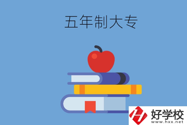 長沙開設(shè)教育類專業(yè)的五年制大專有哪些？