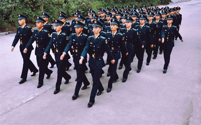 2024年煙臺(tái)汽車(chē)工程職業(yè)學(xué)院有哪些專(zhuān)業(yè)