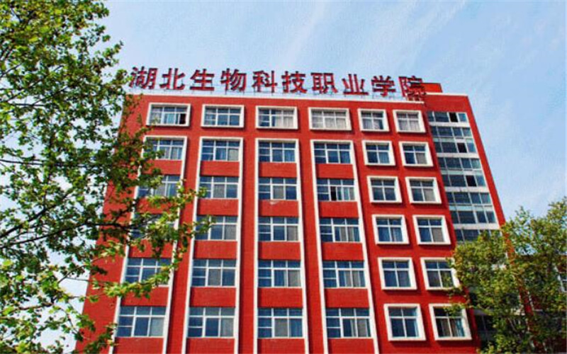 2024年硯山縣民族職業(yè)高級中學有哪些專業(yè)