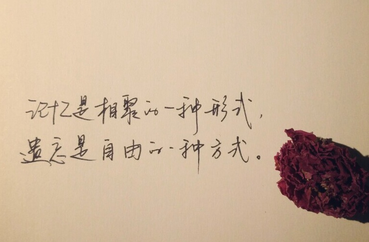 寧夏清華職業(yè)技術(shù)學(xué)校專業(yè)與收費(fèi)標(biāo)準(zhǔn)