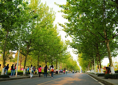 岳陽市商貿(mào)職業(yè)技術學校2024年學費多少？貴嗎？