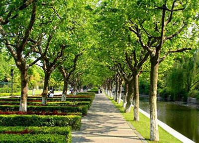 2024雅安排名靠前的公辦中職學(xué)校名單