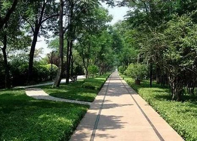 安徽2024年女生讀鐵路學校學什么專業(yè)好