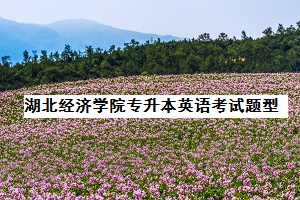 湖北經濟學院專升本英語考試題型