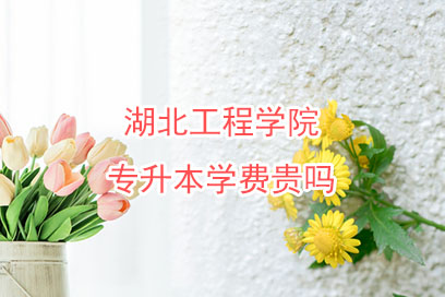 專升本學(xué)費