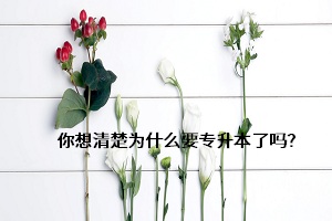 你想清楚為什么要專升本了嗎？