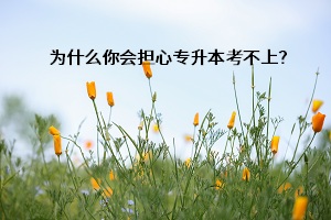 為什么你會(huì)擔(dān)心專升本考不上？有