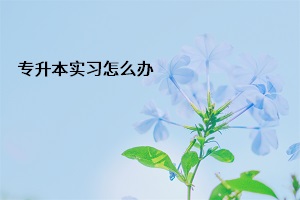 專升本實習怎么辦