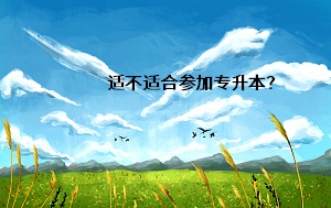 適不適合參加專升本？