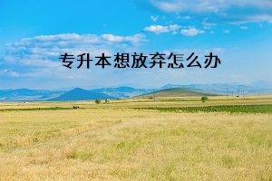 專升本想放棄怎么辦