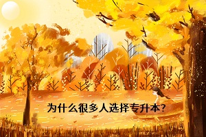 為什么很多人選擇專升本？