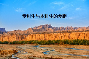 ?？粕c本科生的差距