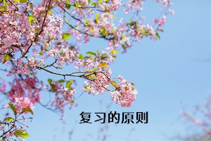 復(fù)習(xí)的原則