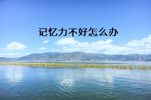 記憶力不好怎么辦