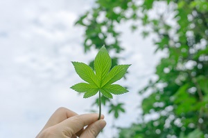 專升本能帶來(lái)什么