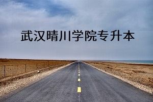 武漢晴川學院專升本
