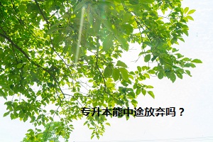 專升本能中途放棄嗎？