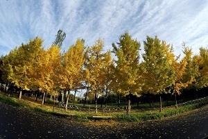 大專第三年才開始準備普通專升本考試來得及嗎？該如何備考？