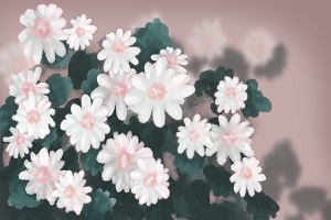 能否報考？