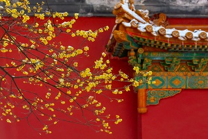 全日制普通專升本和本科有區(qū)別嗎？哪些地方是不同的？