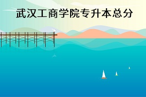 武漢工商學(xué)院專升本總分