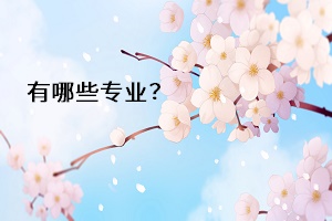 有哪些專業(yè)？