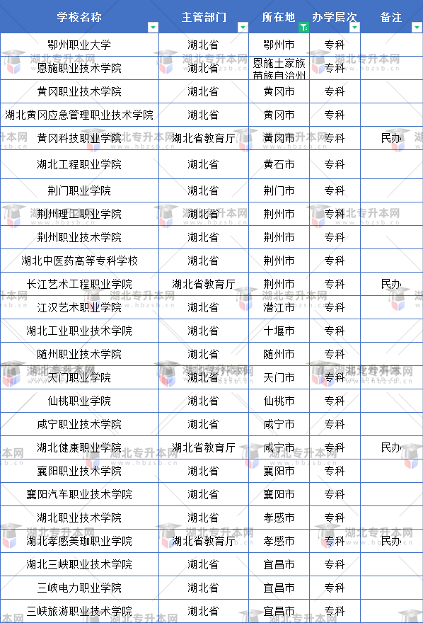 武漢市外的?？茖W(xué)校