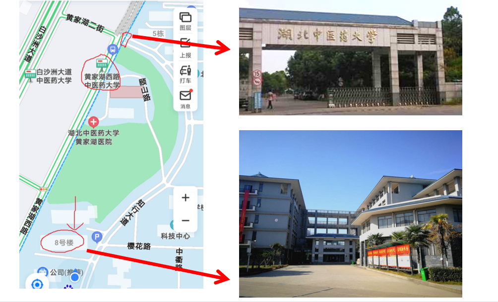 湖北中醫(yī)藥大學(xué)專升本從校門怎么走到8號樓？考場怎么找？